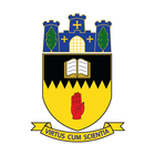 Cookstown High School icône