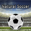 Natural Soccer (Jeu d'arcade)