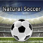 Natural Soccer (Jeu d'arcade) icône