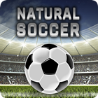 Natural Soccer - Fun Arcade Fo icône