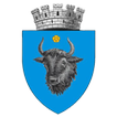 Sighetu Marmatiei CityApp أيقونة