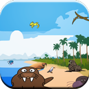 Walrus Match Race-APK