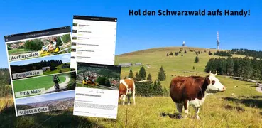 Schwarzwaldportal.com