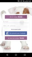 Scooty chien chat perdu trouvé Affiche