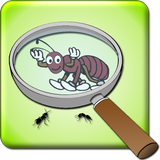 Best Magnifying Glass icon