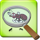 Best Magnifying Glass-icoon