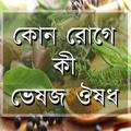 কোন রোগে কী ভেষজ ঔষধ