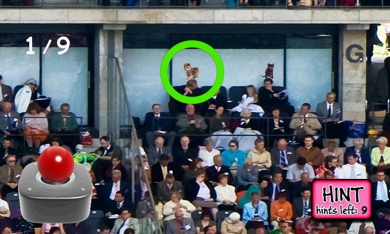 Kitty in the Crowd 6