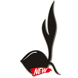 童军是我的身份