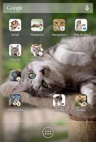 Icon Changer Cute Cats-Scleen โปสเตอร์