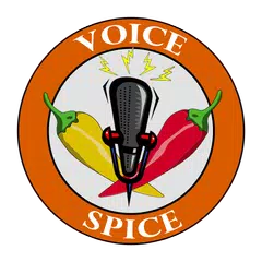 Скачать Voice Spice Online Recorder APK