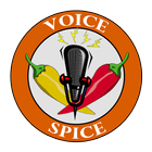 Voice Spice Online Recorder icône