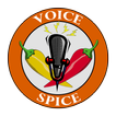 Voice Spice Online Recorder