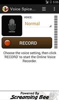 Voice Spice Online Recorder Affiche