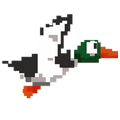 Duck Hunting
