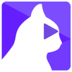 Bast: Top Trending Videos APK