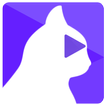 Bast: Top Trending Videos