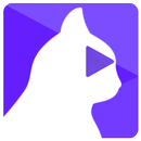 Bast: Top Trending Videos APK