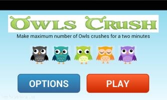 Owls Birds Crush Plakat