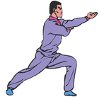 pencak silat completed simgesi
