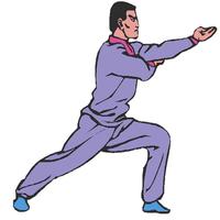 pencak silat completed gönderen