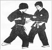 pencak silat completed Ekran Görüntüsü 2