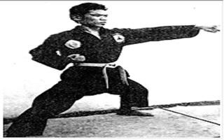 pencak silat completed Ekran Görüntüsü 3