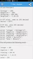 Learn Perl Full скриншот 2