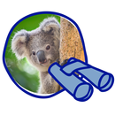 Koala Counter APK