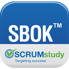 SBOK™ Guide Glossary icône