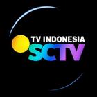 sctv tv indonesia ícone