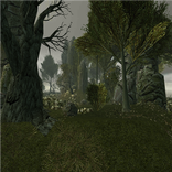 VR Relax Autumn 3D Cardboard