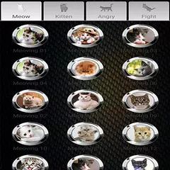 Cat Sounds アプリダウンロード