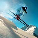 Slalom Ski Race APK