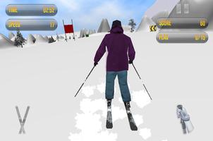 Slalom Ski Race capture d'écran 1