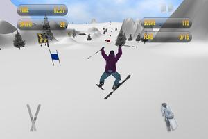 Slalom Ski Race capture d'écran 2