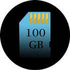 100 GB SD Card storage icône