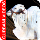 Qurbani Videos icono