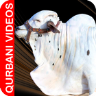 Qurbani Videos biểu tượng