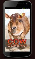 Qurbani Videos Poster