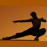 Learn Martial Art biểu tượng