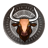 MooRabaraba icono