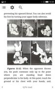 Judo Guide capture d'écran 3