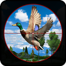 Real Archery Birds hunter Jungle Bird Shooting 19 APK