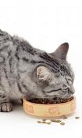 3 Schermata Cat Food Live Wallpaper
