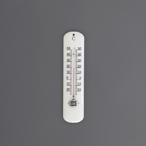Thermometer or scale Live WP
