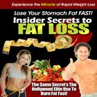 Secrets to Fat Loss Mini Zeichen
