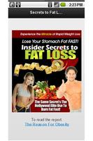 Secrets to Fat Loss Mini Plakat