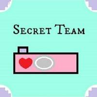 SecretTeam 海报