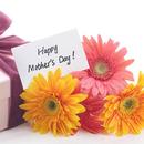 Mothers Day Greetings APK